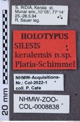 Etikette zu Silesis keralensis (NHMW-ZOO-COL-0008838)